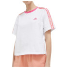 WHITE/SECOFU/MU